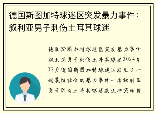 德国斯图加特球迷区突发暴力事件：叙利亚男子刺伤土耳其球迷
