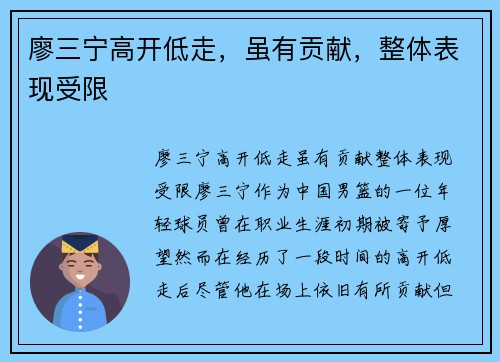 廖三宁高开低走，虽有贡献，整体表现受限